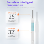 Wireless Smart Vision Ear Stick Ear Scoop Ear Picker 300W/500W